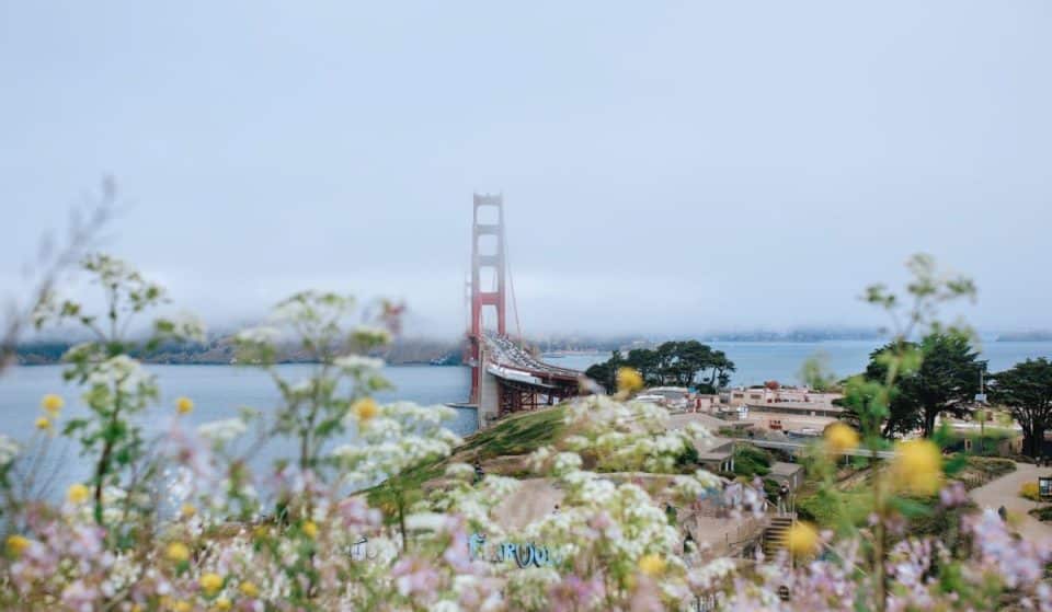 42 Exceptional Things To Do In May 2023 In San Francisco