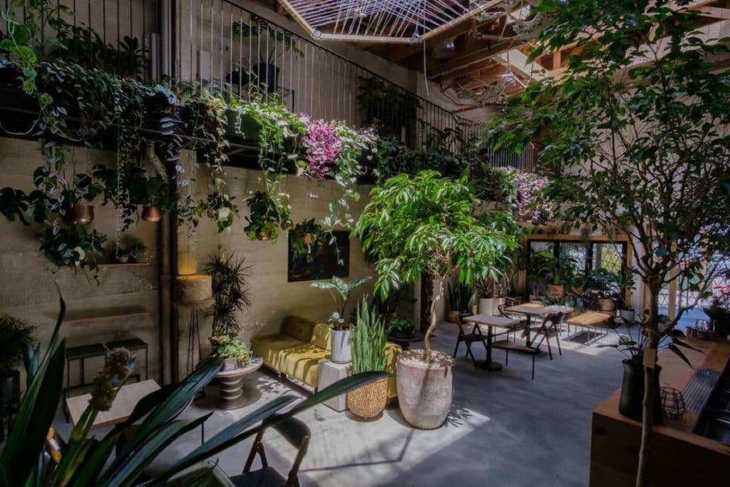 This Exquisite Urban Greenhouse In The Mission Just Keeps Evolving