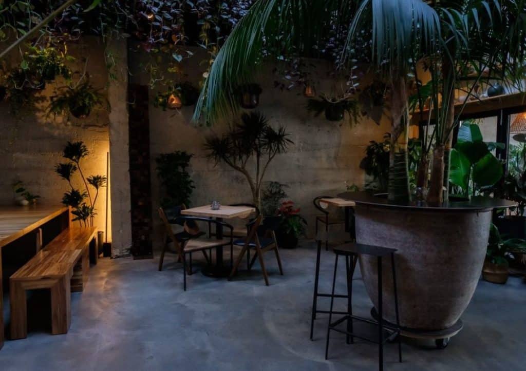 Empty wooden tables and chairs beneath a leafy canopy of indoor plants in a darkened indoor space.