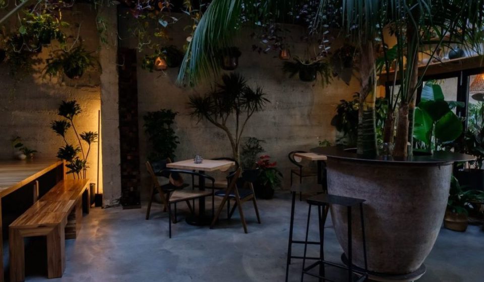 Chill Out At This Plant Store-Turned-Wine Bar In The Mission
