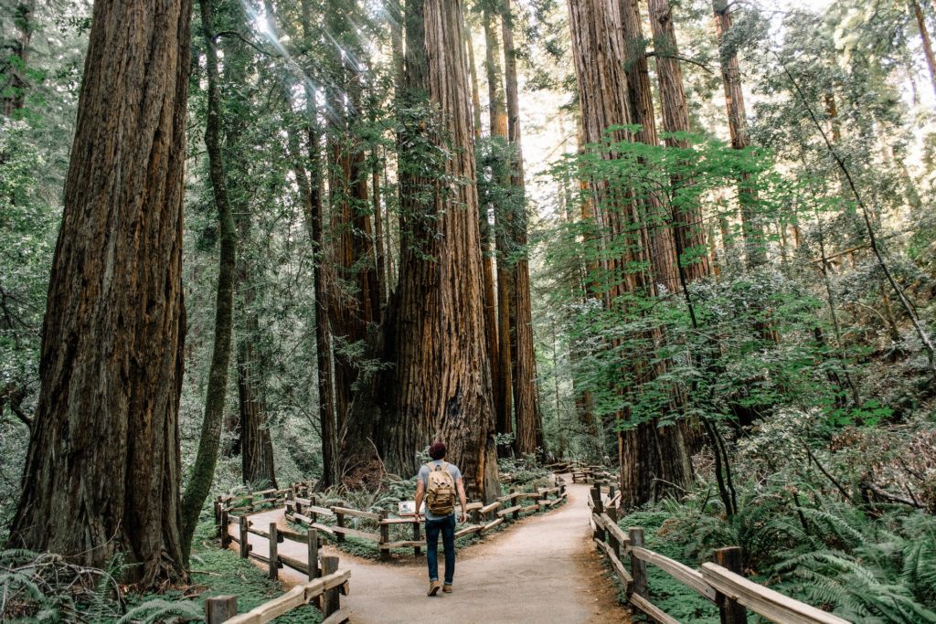 25 Spectacular Day Trips To Take From San Francisco