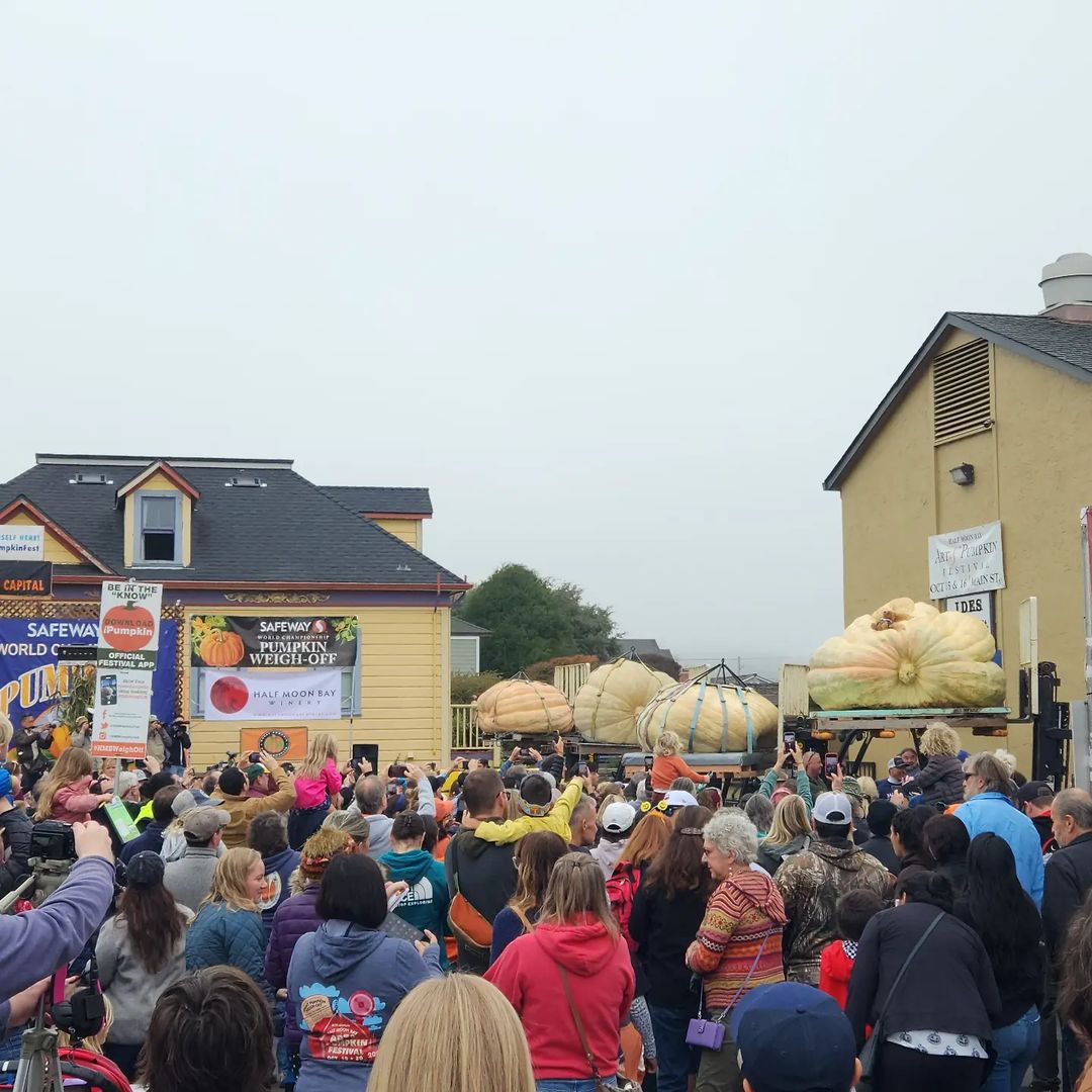 1.25Ton Gourd Wins Half Moon Bay Pumpkin Festival Secret San Francisco