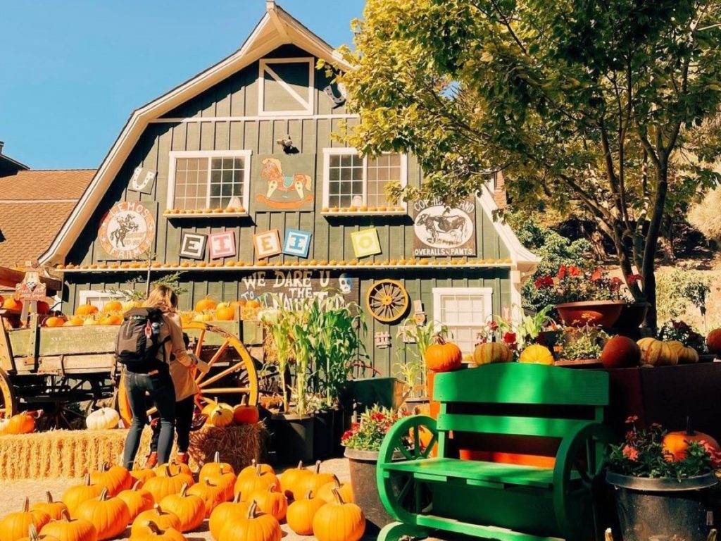 50 Terrific Things To Do This October In The Bay Area