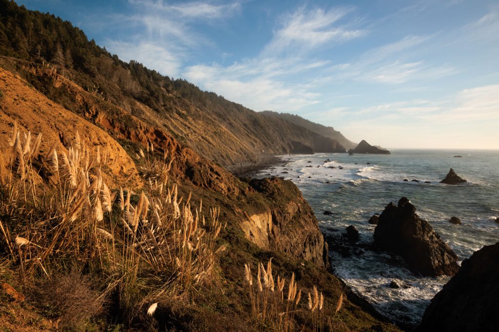 Local Nonprofit Gets Rare Opportunity To Preserve Huge Stretch Of Redwood Coastline