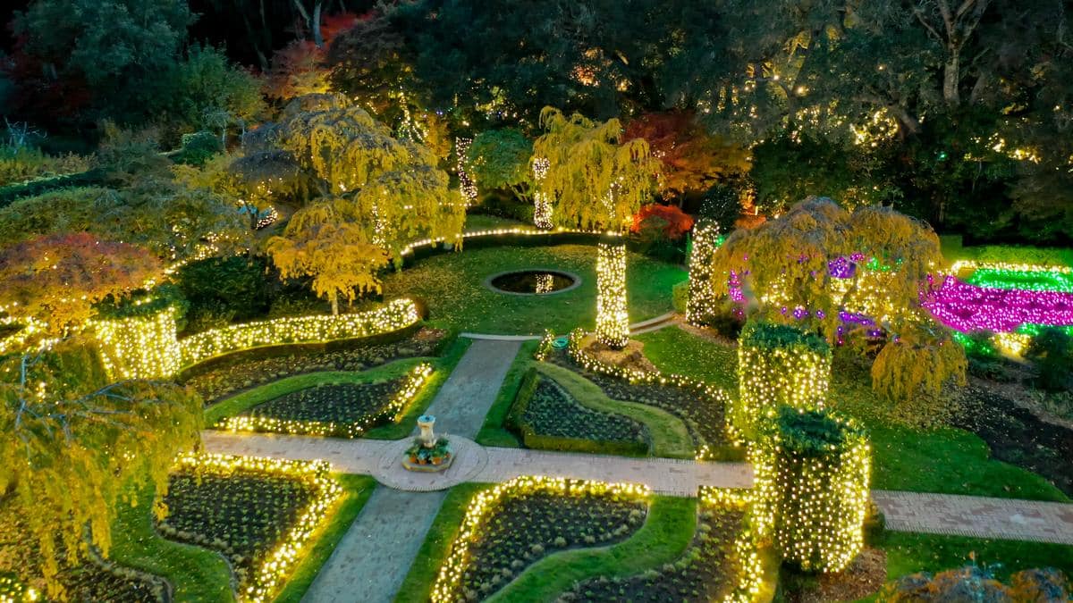 Filoli's gardens decorated with golden holiday lights.