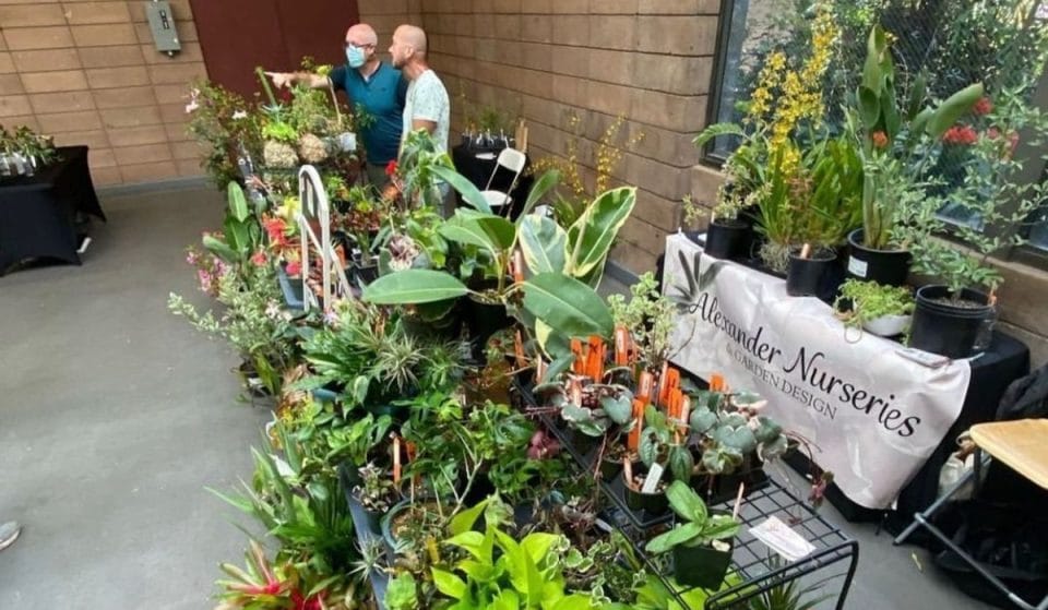 A Glorious Pop-Up Plant Market Is Coming To The County Fair Building