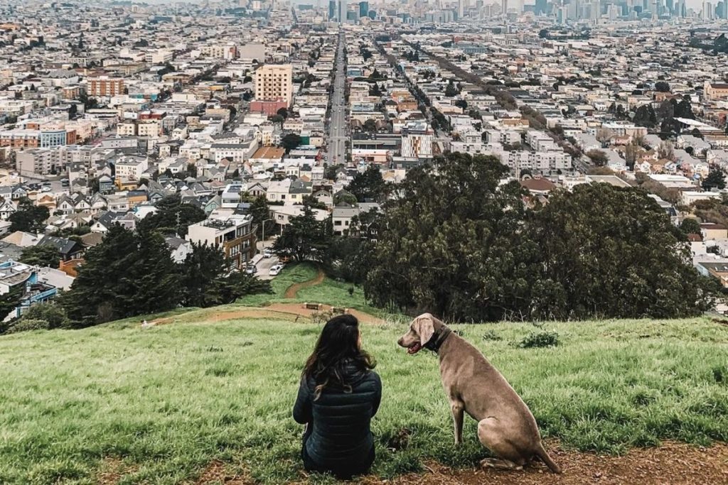 18 Pleasant Things To Do Alone In San Francisco