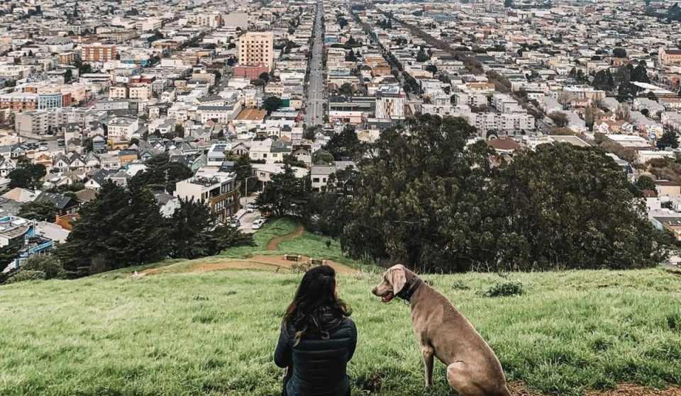 18 Pleasant Things To Do Alone In San Francisco