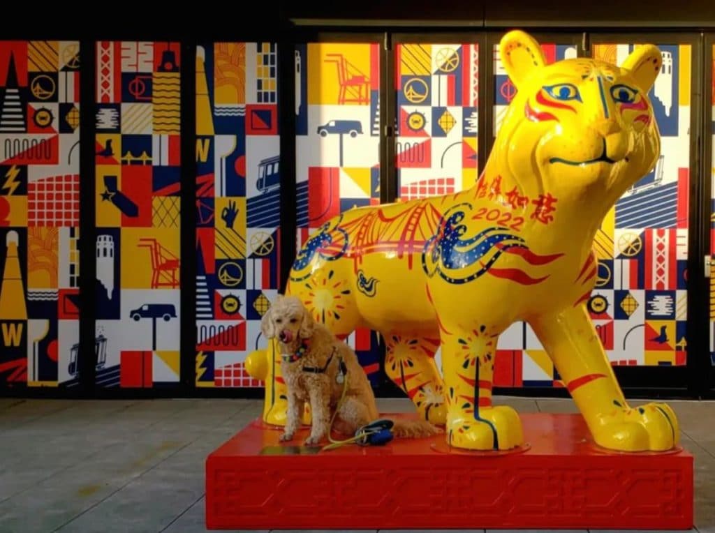 SF Celebrates Chinese Lunar New Year With Six Life-Size Tiger Statues