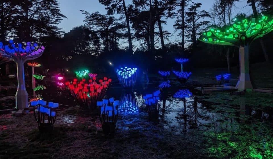 GG Park’s ‘Entwined’ LED Meadow Has Flooded
