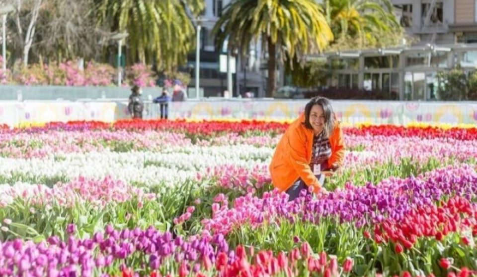 A Free Pick-Your-Own Tulip Garden Will Come To Union Square In March