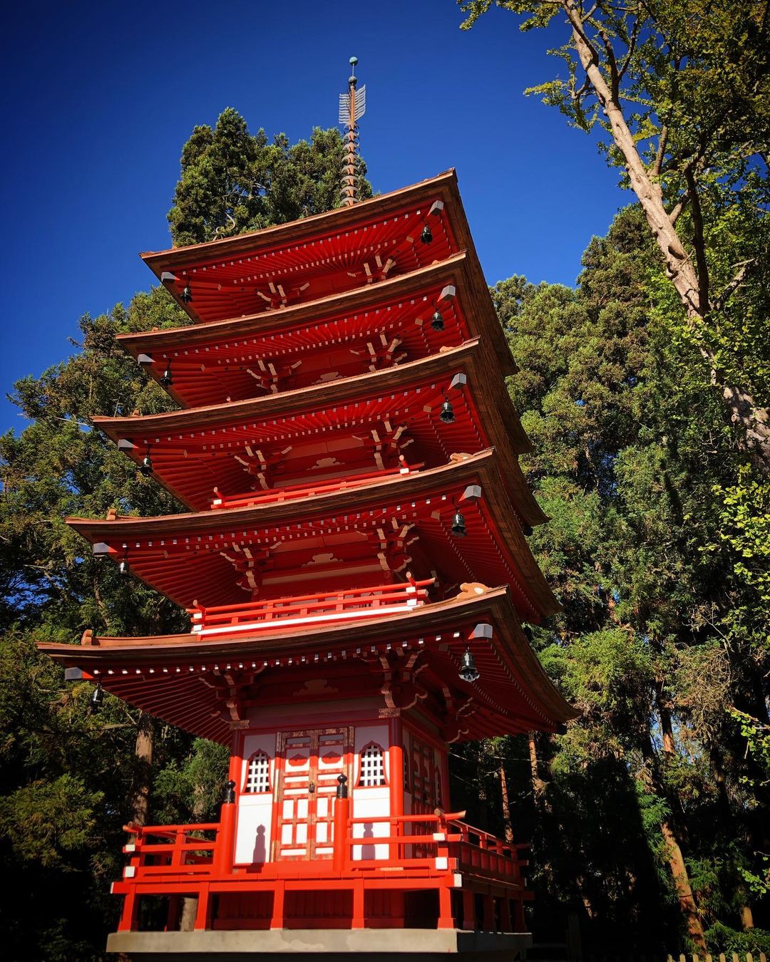 The Japanese Tea Garden's restored 5-story pagoda with a fresh coat of paint. 