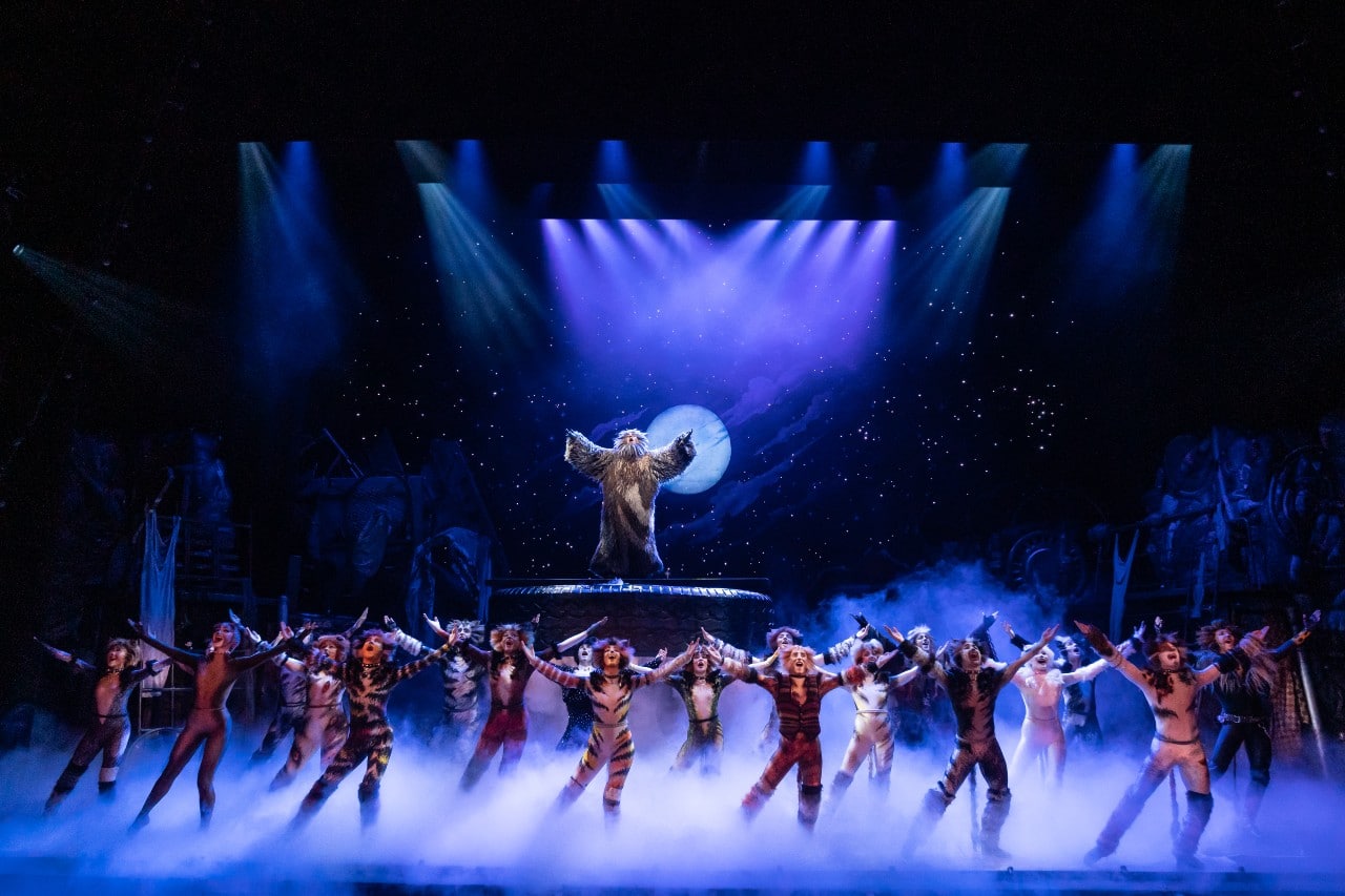 Cats Musical in Broadway NYC: everything you need to know about the show -  Hellotickets