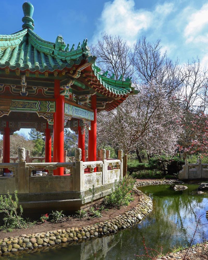 Chinese Pavilion at Stow Lake with a blooming plum tree in the background.
