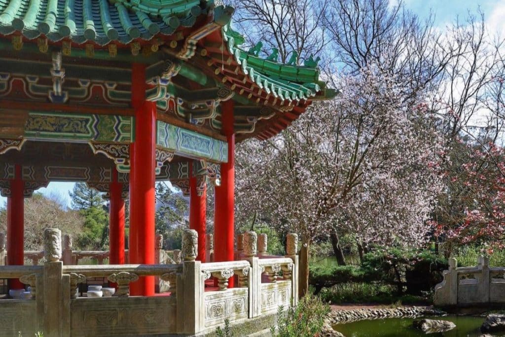 Chinese Pavilion at Stow Lake with a blooming plum tree in the background.