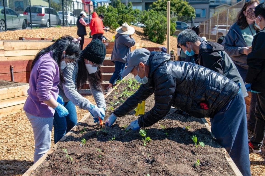 Celebrate ‘Earth Month’ In SF With Volunteer Projects, Plant Pop-Ups, Celebrations And More