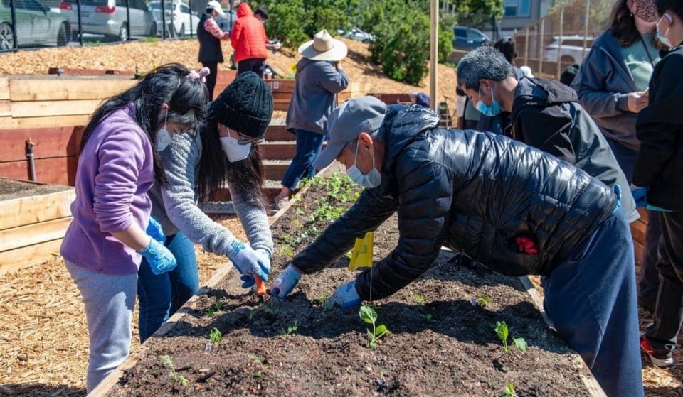 Celebrate ‘Earth Month’ In SF With Volunteer Projects, Plant Pop-Ups, Celebrations And More