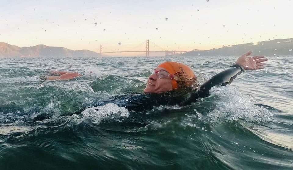 Dare To Dive Into San Francisco Bay At The Dolphin Club
