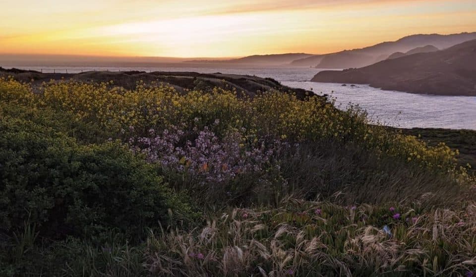 7 Fascinating Places To Explore In The Marin Headlands