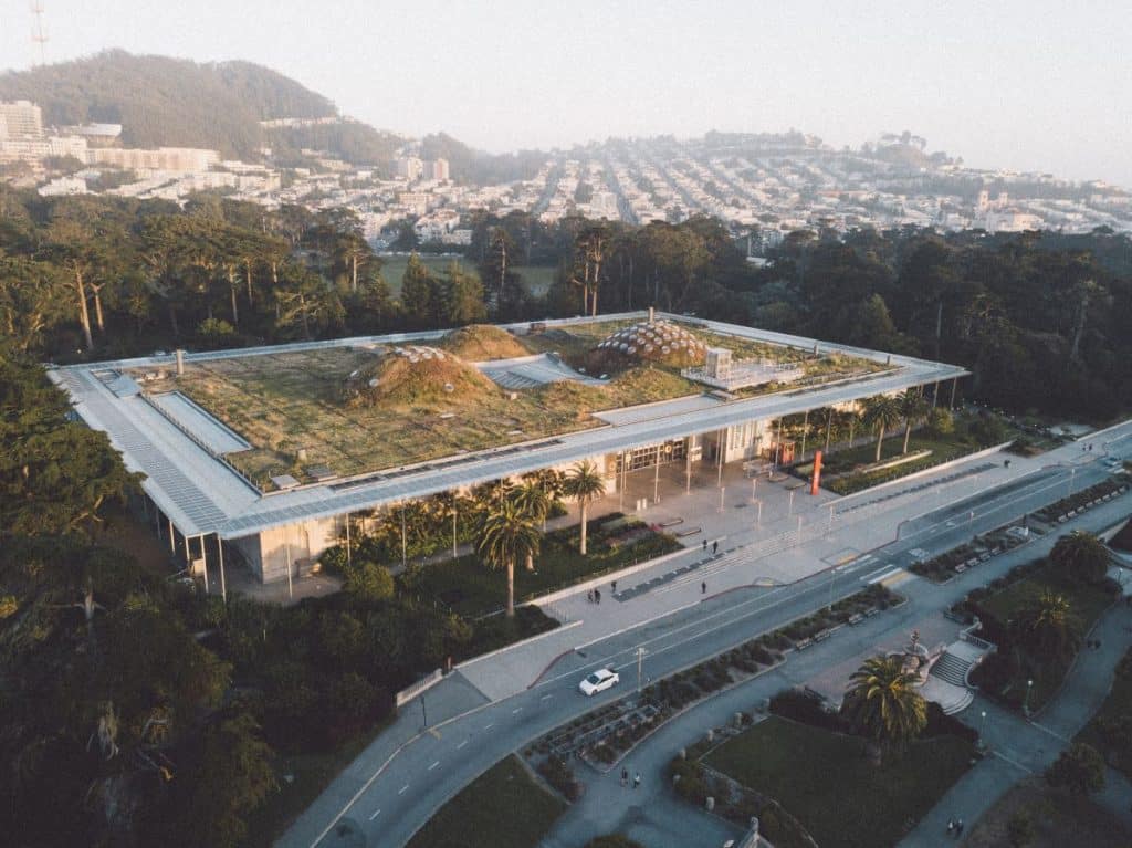 Academy of Sciences from above, showing the buidling's green living roof and SF skyline in the background.