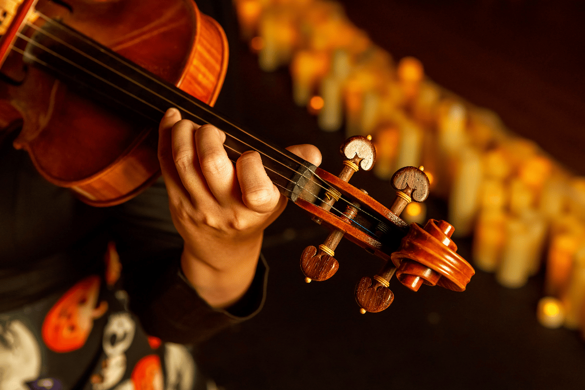 A musician plays a violin.
