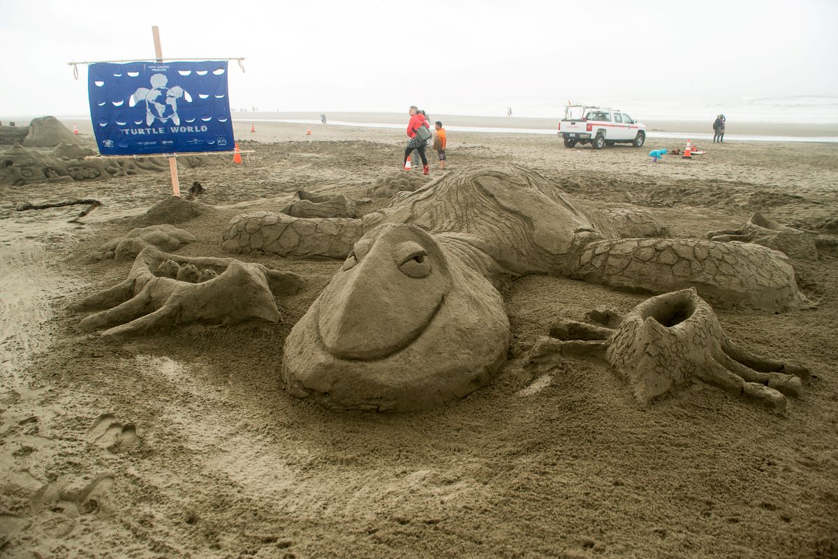 A giant sandcastle in the form of a sea turtle