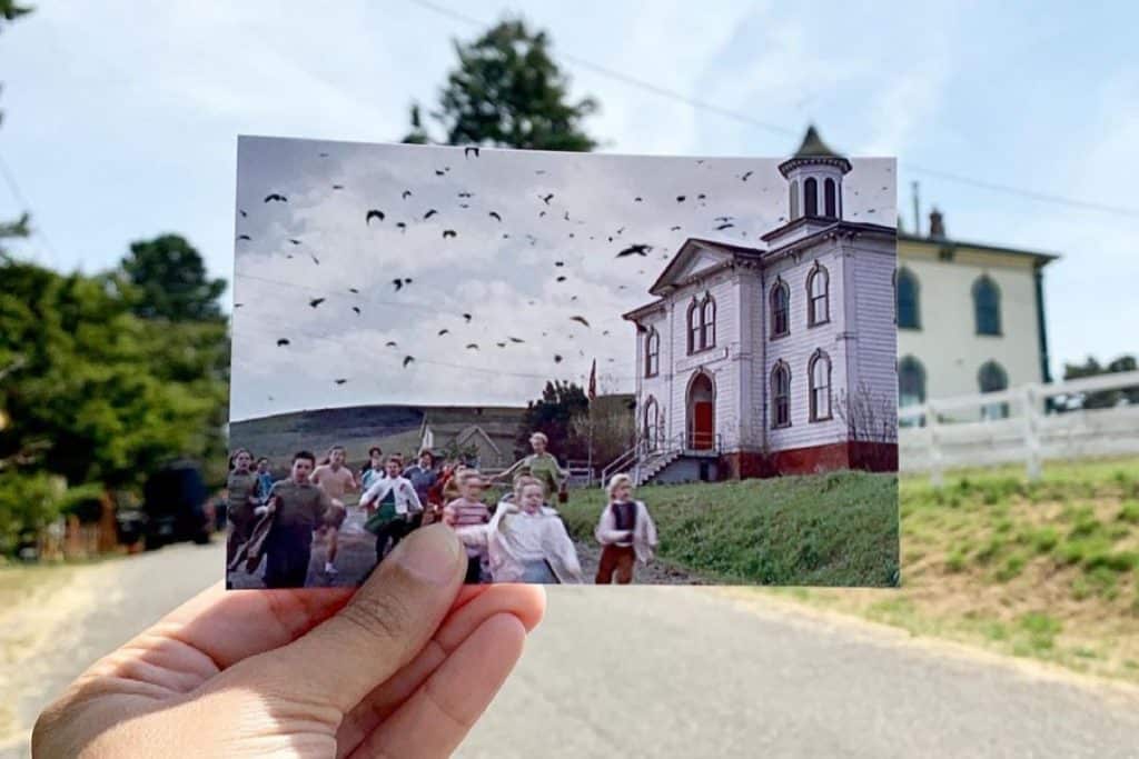 A still of the schoolhouse from The Birds held up to match the background of the actual filming location.