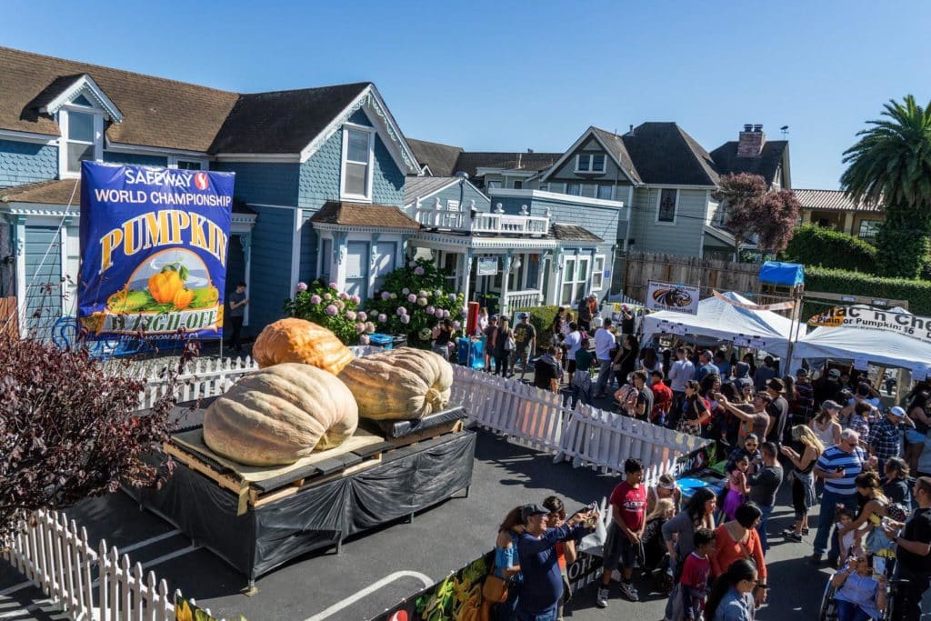 A lively outdoor gathering with three massive award-winning pumpkins on display.