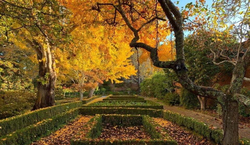 22 Wonderful Activities To Check Off Your Fall Bucket List In The Bay Area