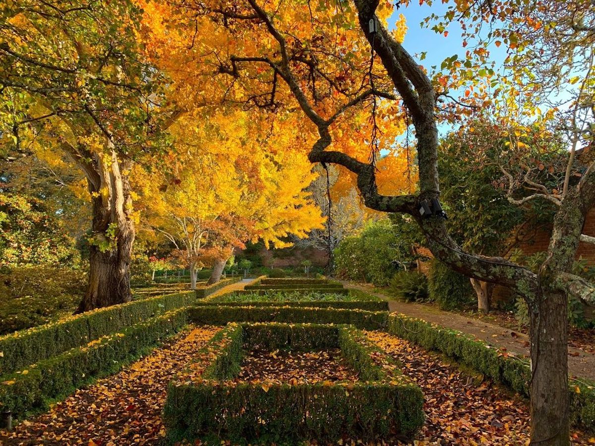 Filoli garden, Fall Foliage Bay Area