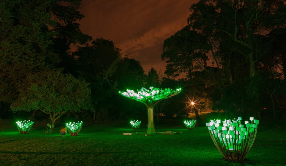 What To Know About GG Park’s Tree Lighting And Holiday Events
