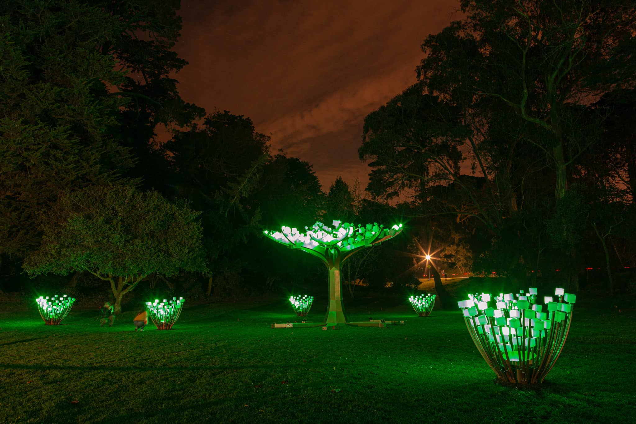 A collection of LED light sculptures in the shape of trees and bushes, lit up in green.