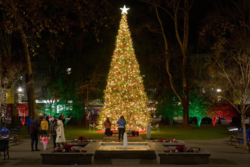 A tall holiday tree with red and gold lights towers over an outdoor plaza.