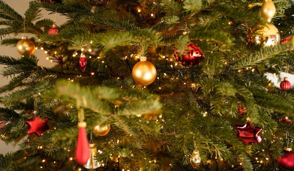 11 Places To Find The Perfect Christmas Tree In SF