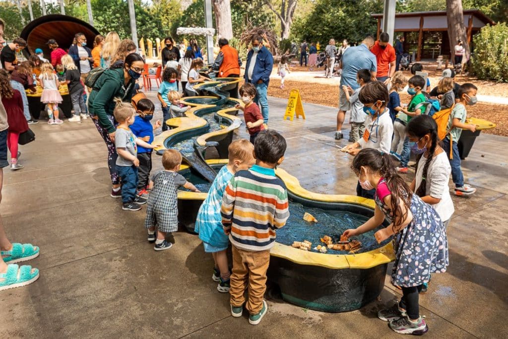 A group of children play with an interactive touch pool at the Academy of Sciences patio.
