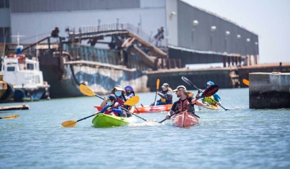 What To Know About Fall Activities, Courses, And Recreation In SF