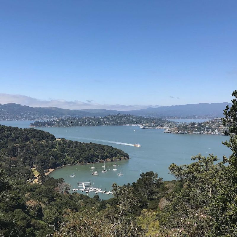 angel island from Mt. Livermore