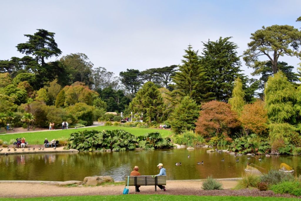 Two people sit on a bench in front of a pond surrounded by greenery in Golden Gate Park.