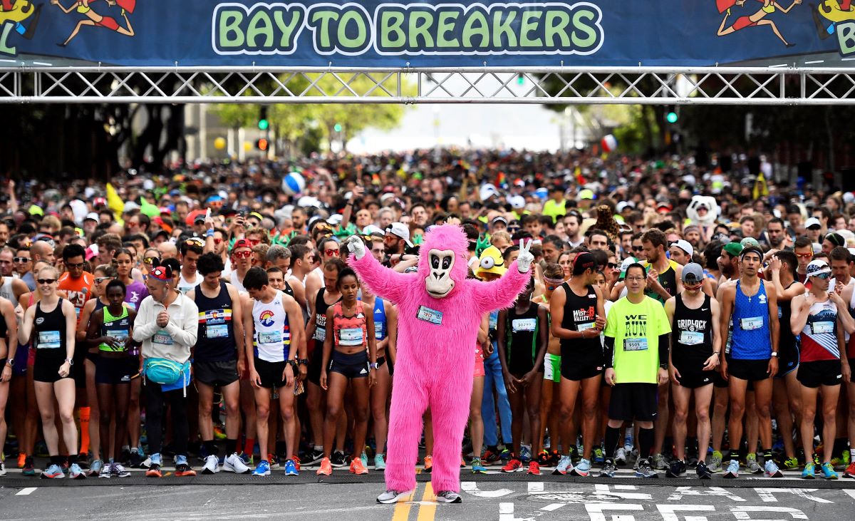 Bay to Breakers start line led by someone dressed as the giant pink monkey mascot.