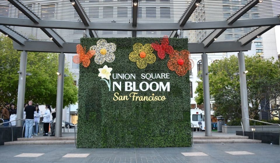 Check Out Colossal Flower Displays And A Mother’s Day Celebration At Union Square