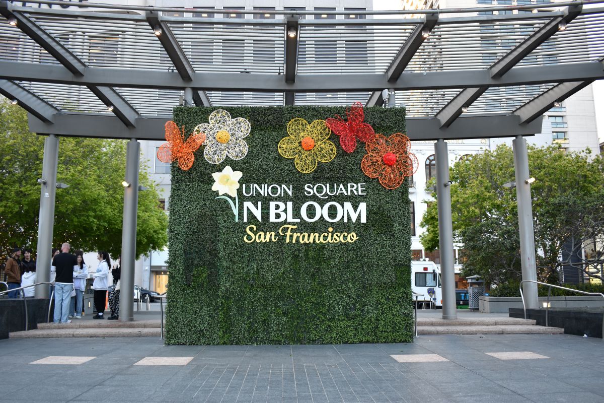 San Francisco Hotels in Union Square: My Top Picks