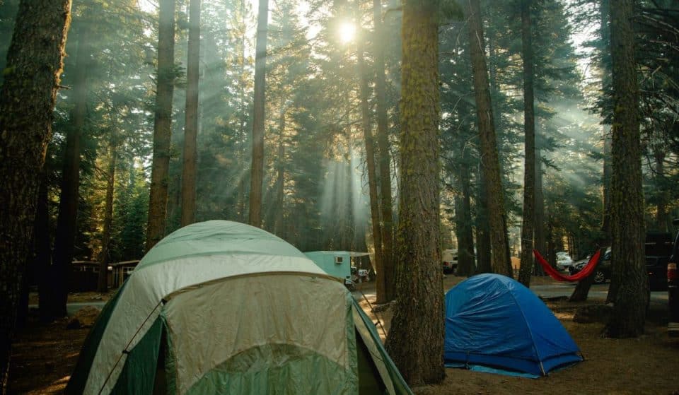 10 Charming Bay Area Campgrounds For The Ultimate Summer Escape