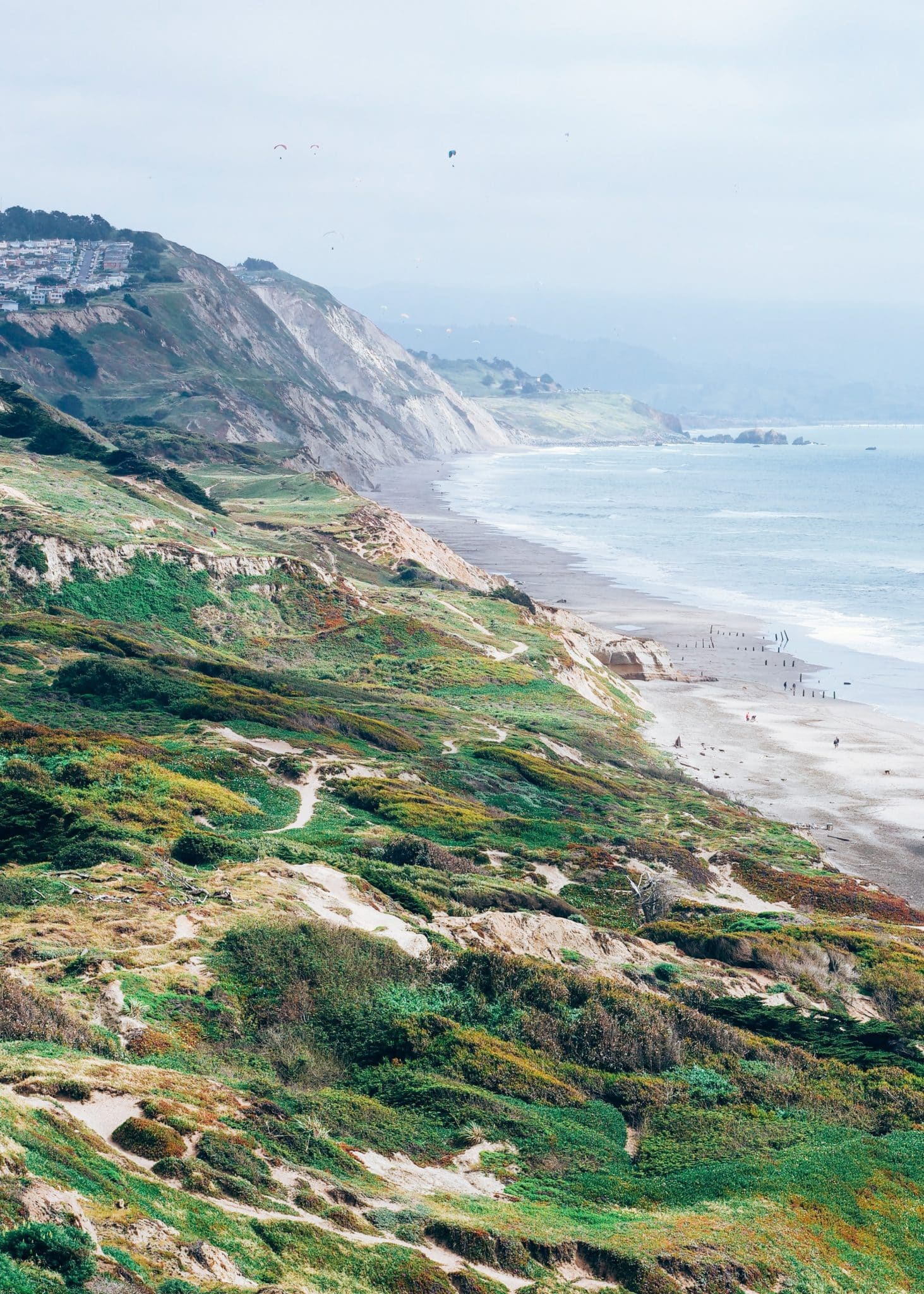 Funston Beach featuring the green trails and bluffs leading to the shore.