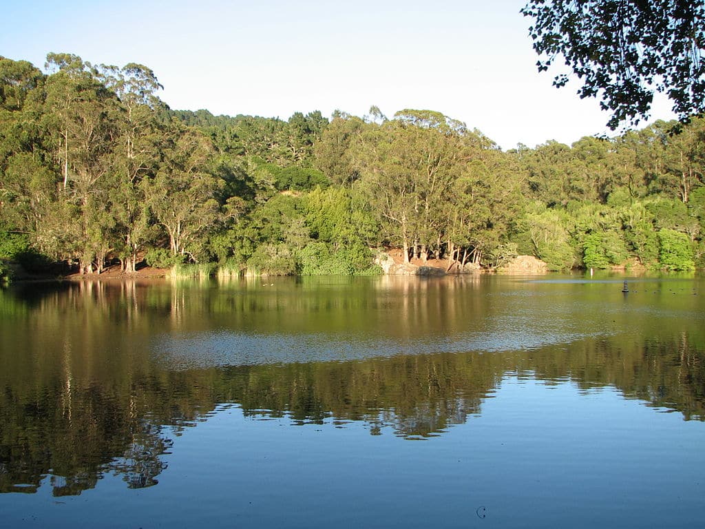 View across Lake Anza with green trees lining the shore