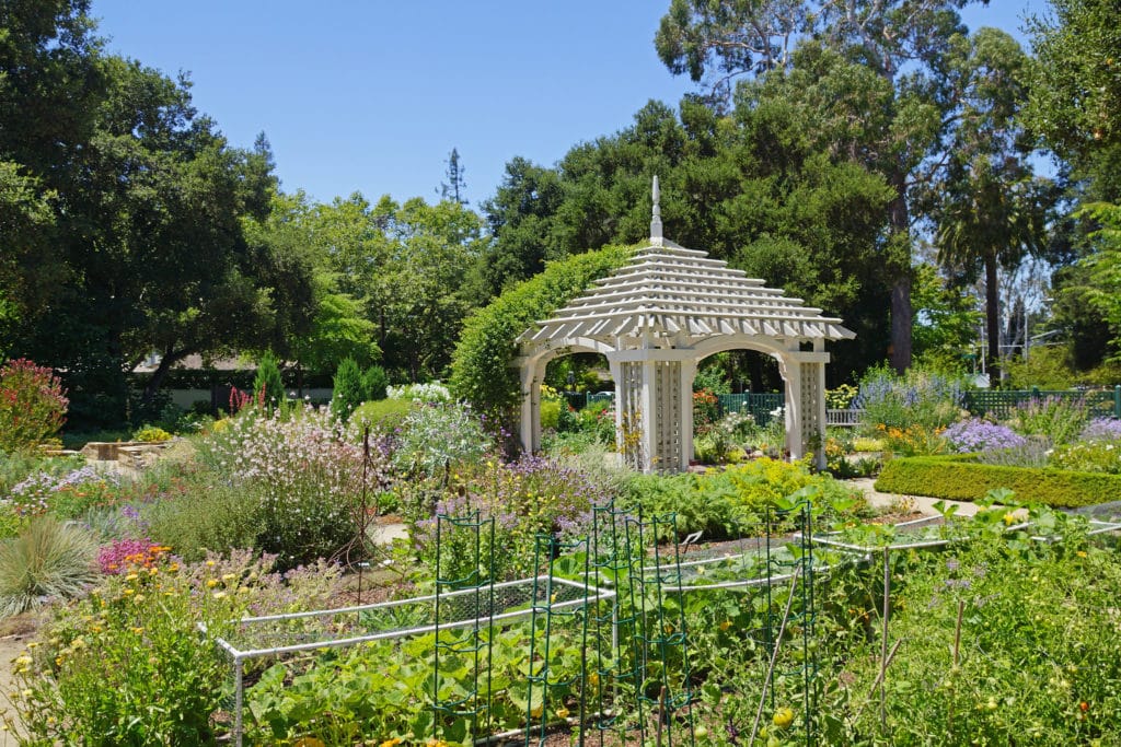 a garden with a gazebo