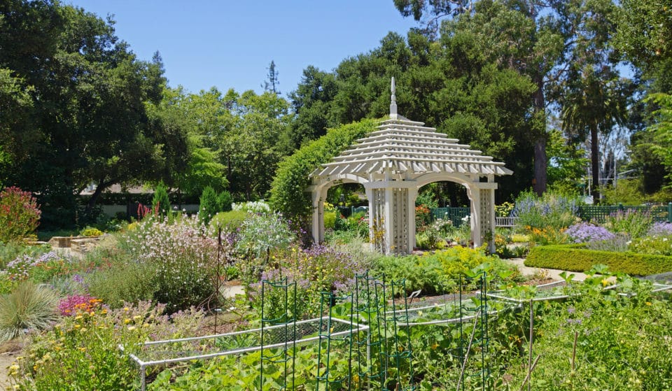 This Historic Palo Alto Garden Is Free To Visit Every Day