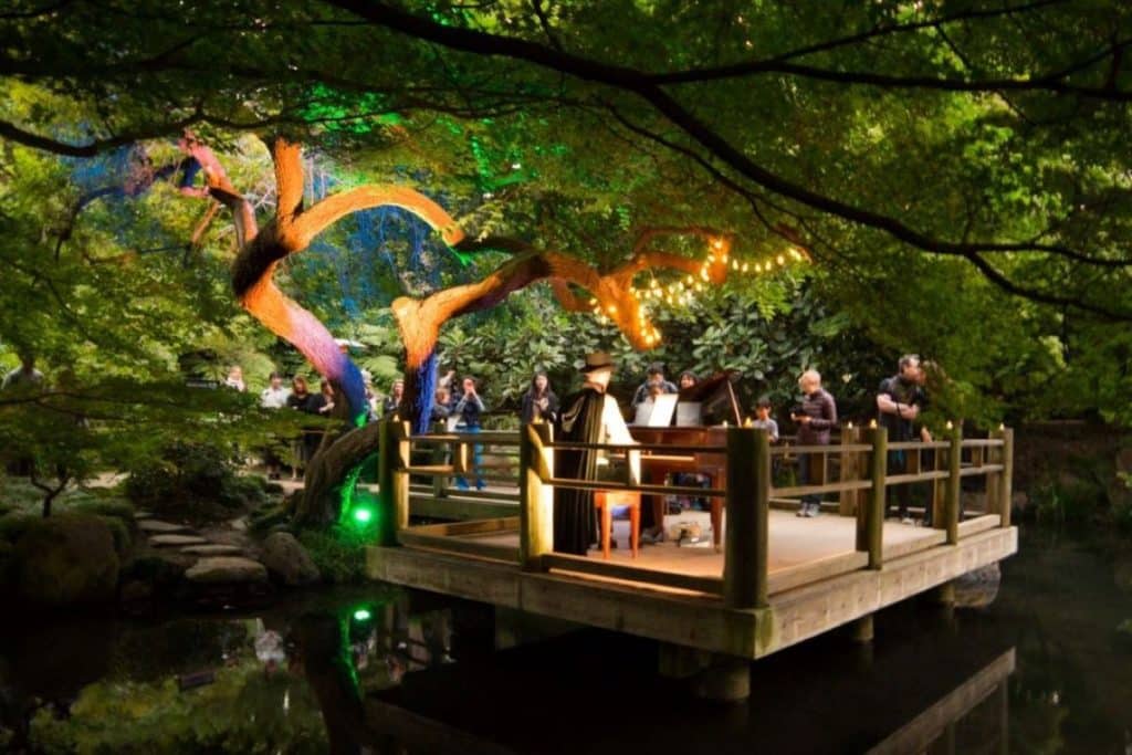 Trees illuminated at SF Botanical Garden's Flower Piano event