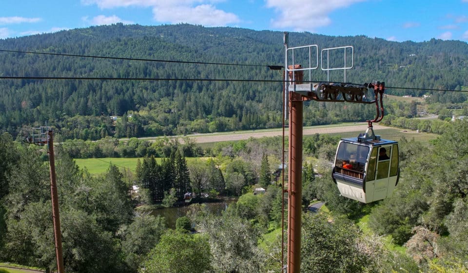 Napa Vineyard Known For Its Scenic Gondola Rides Reopens After 2020 Closure